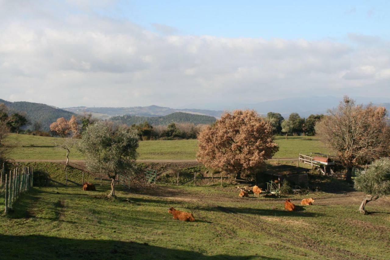 Farmhouse Tuscany Montecastelli Pisano Luaran gambar