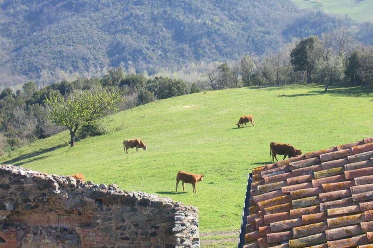 Farmhouse Tuscany Montecastelli Pisano Luaran gambar